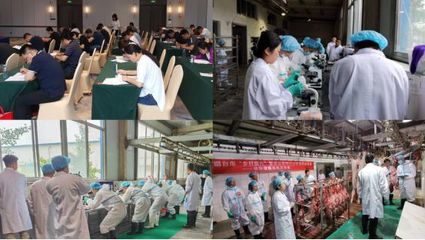 練本領 強技能 促提升——2023年煙臺市鄉村振興暨農業農村行業職業技能競賽動物檢疫檢驗員競賽圓滿落幕